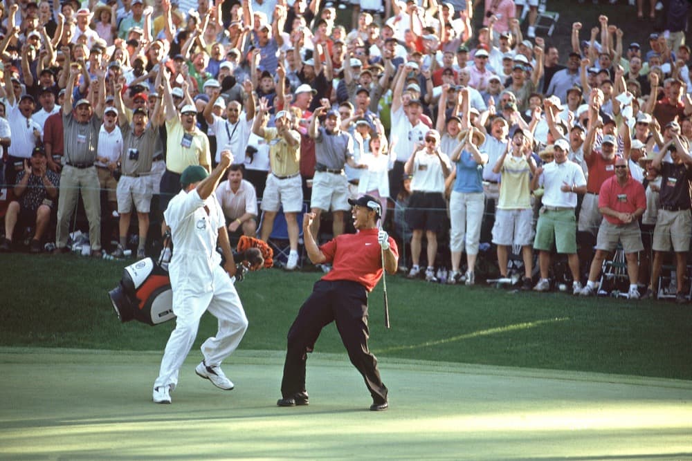 Tiger '02